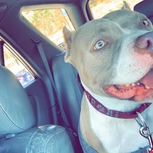 Meet your Posher, Charles